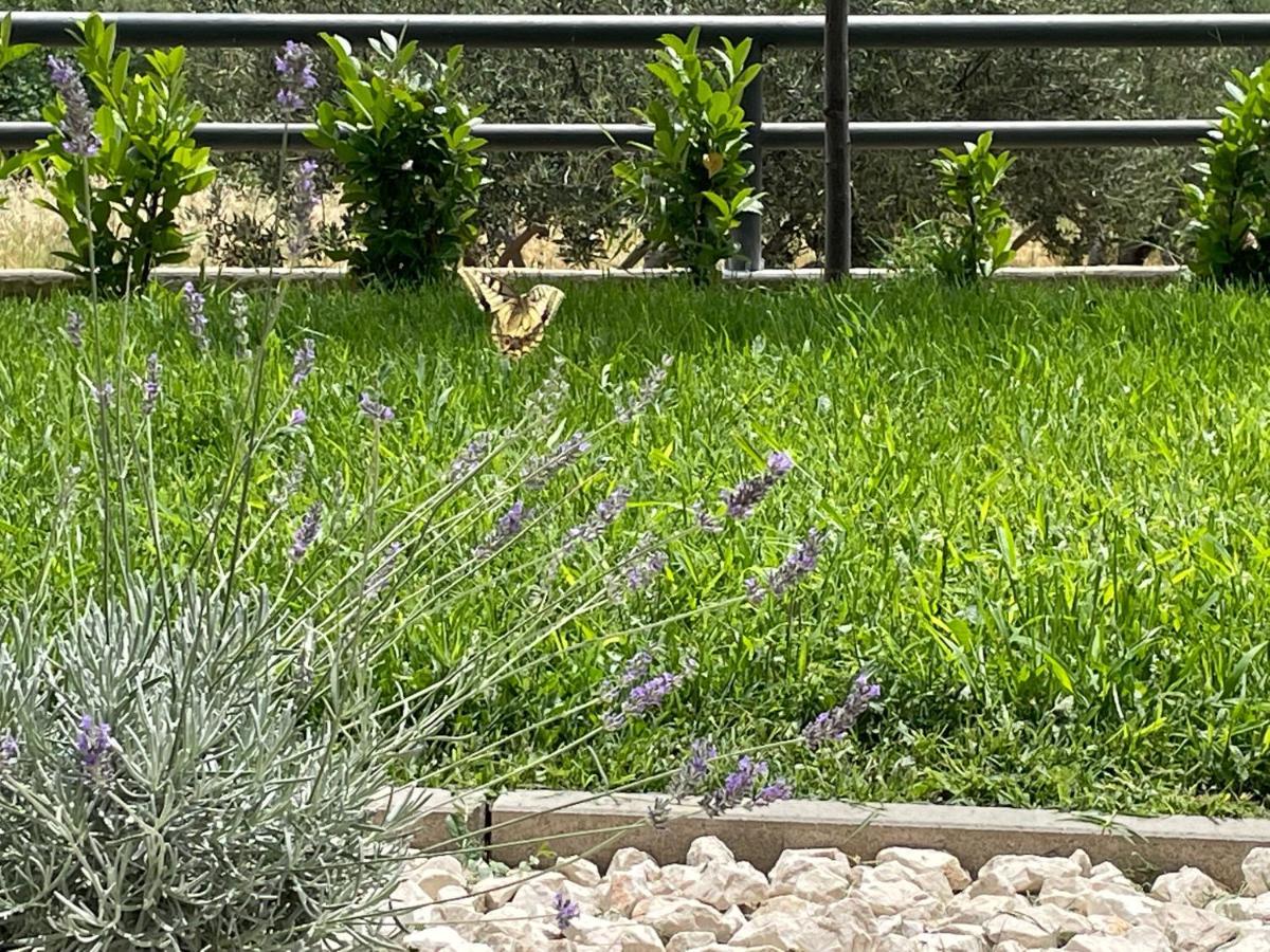 Apartman David 73 Split Dış mekan fotoğraf